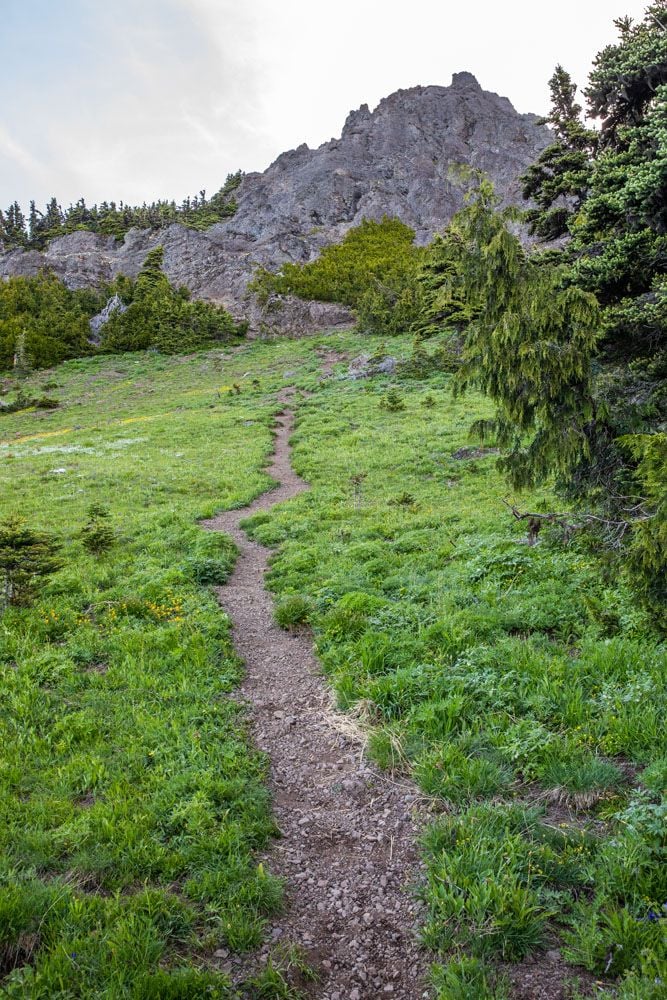 Trail to Mount Angeles