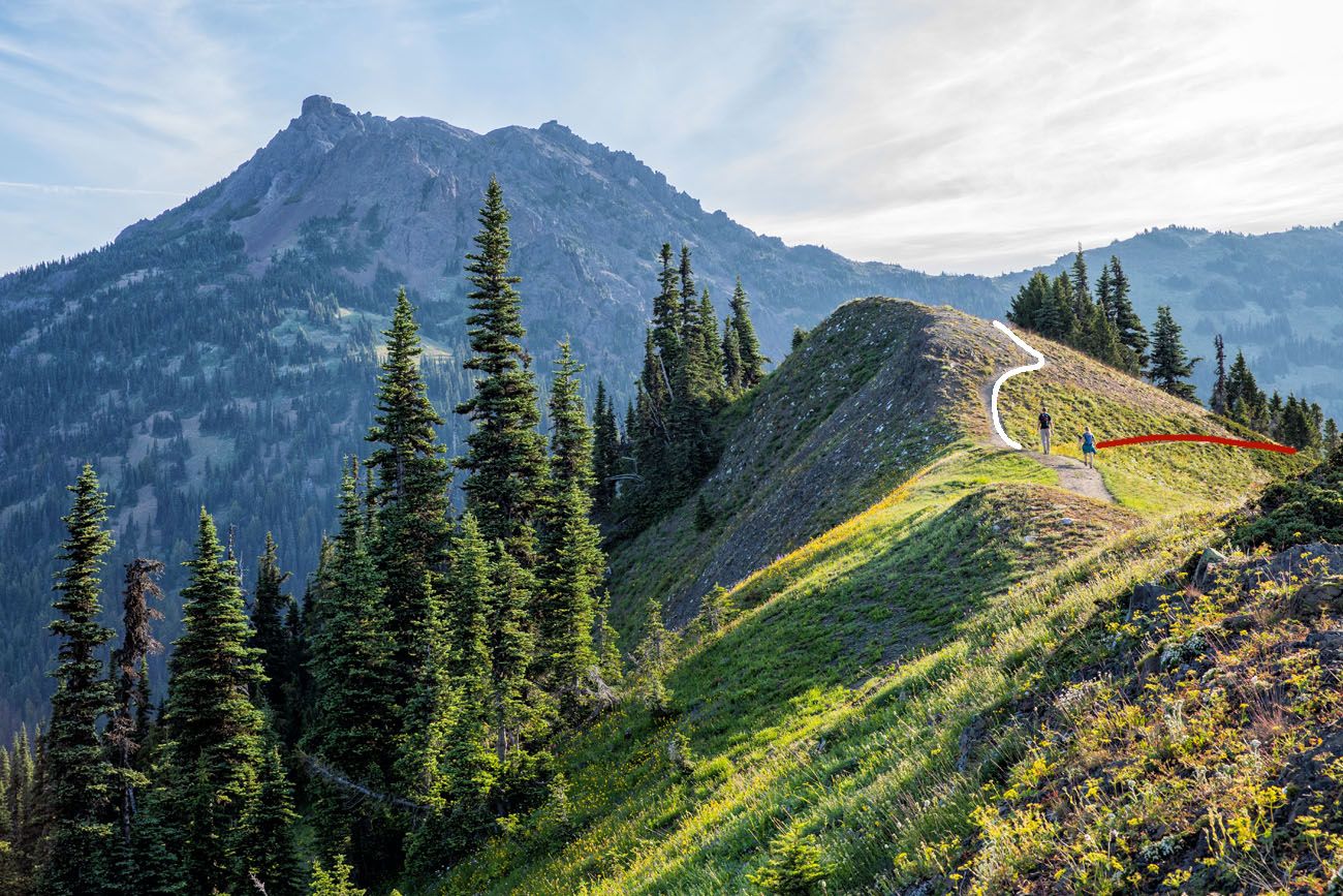 Trail to the Overlook