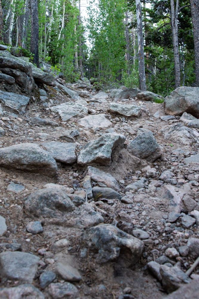 Twin Sisters Rocky Trail