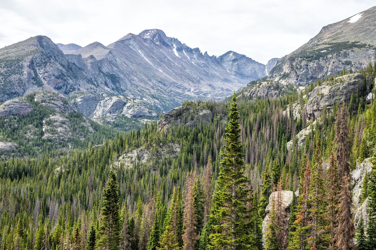 View of Longs Peak