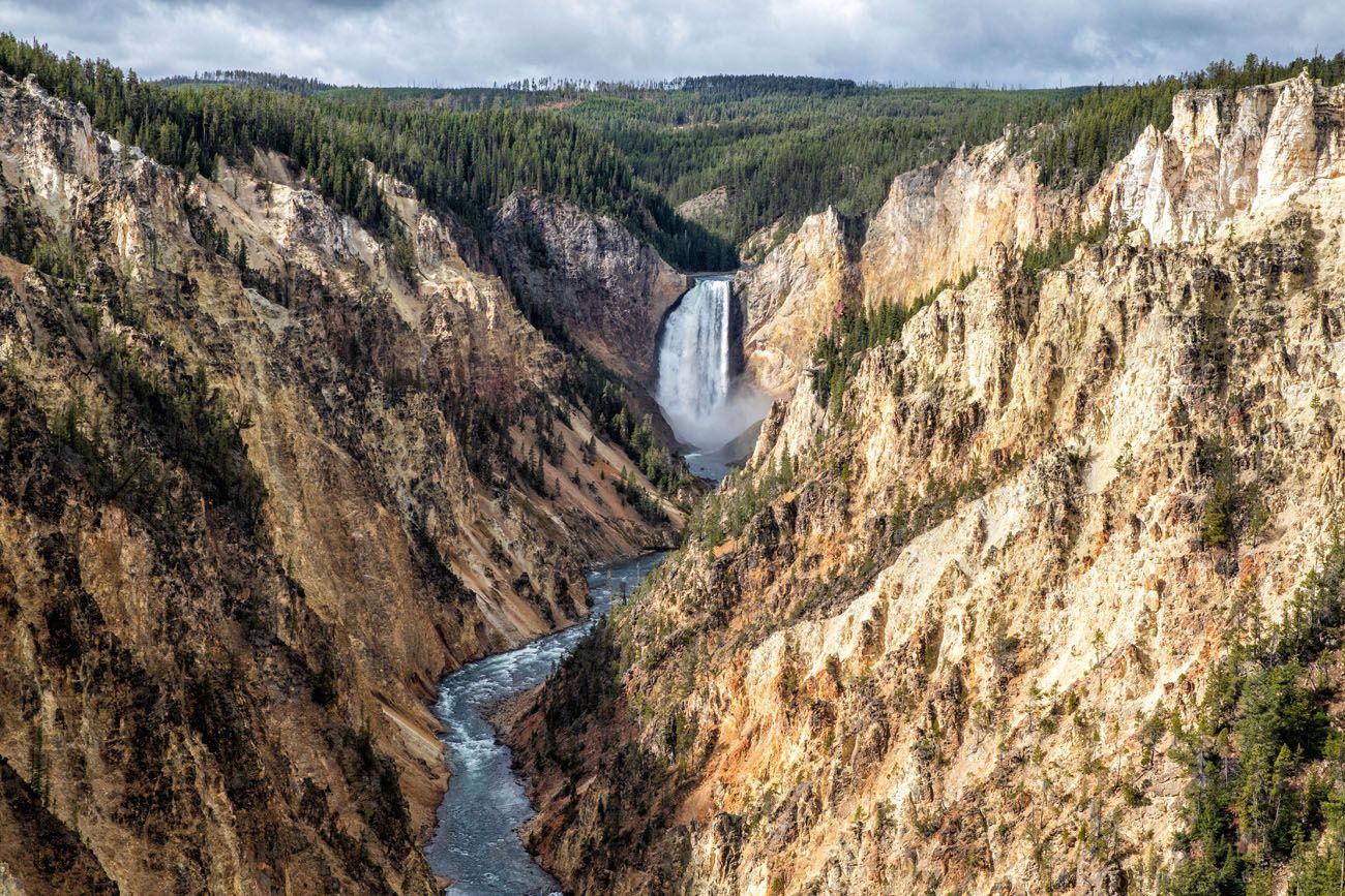 Artist Point Yellowstone Day Trip