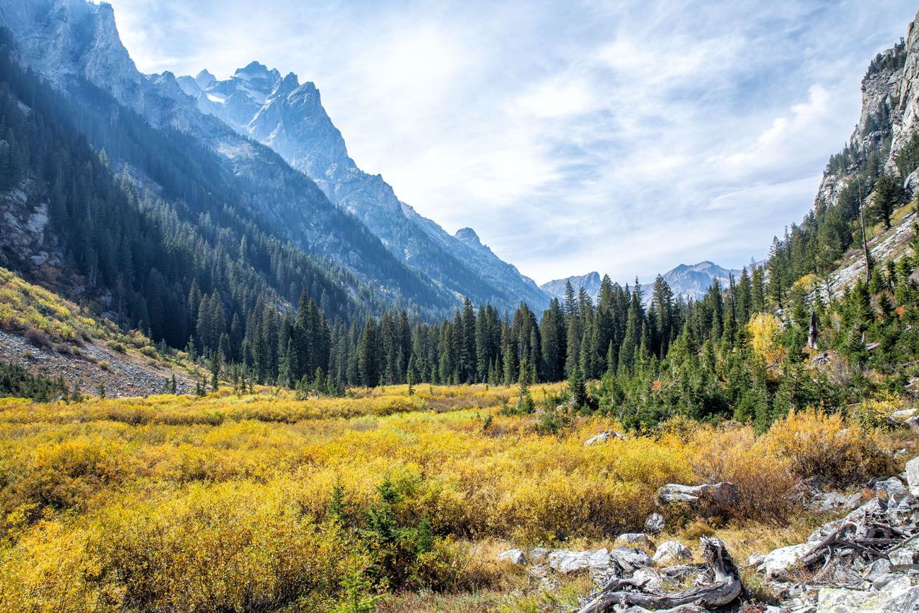 Cascade Canyon Hike