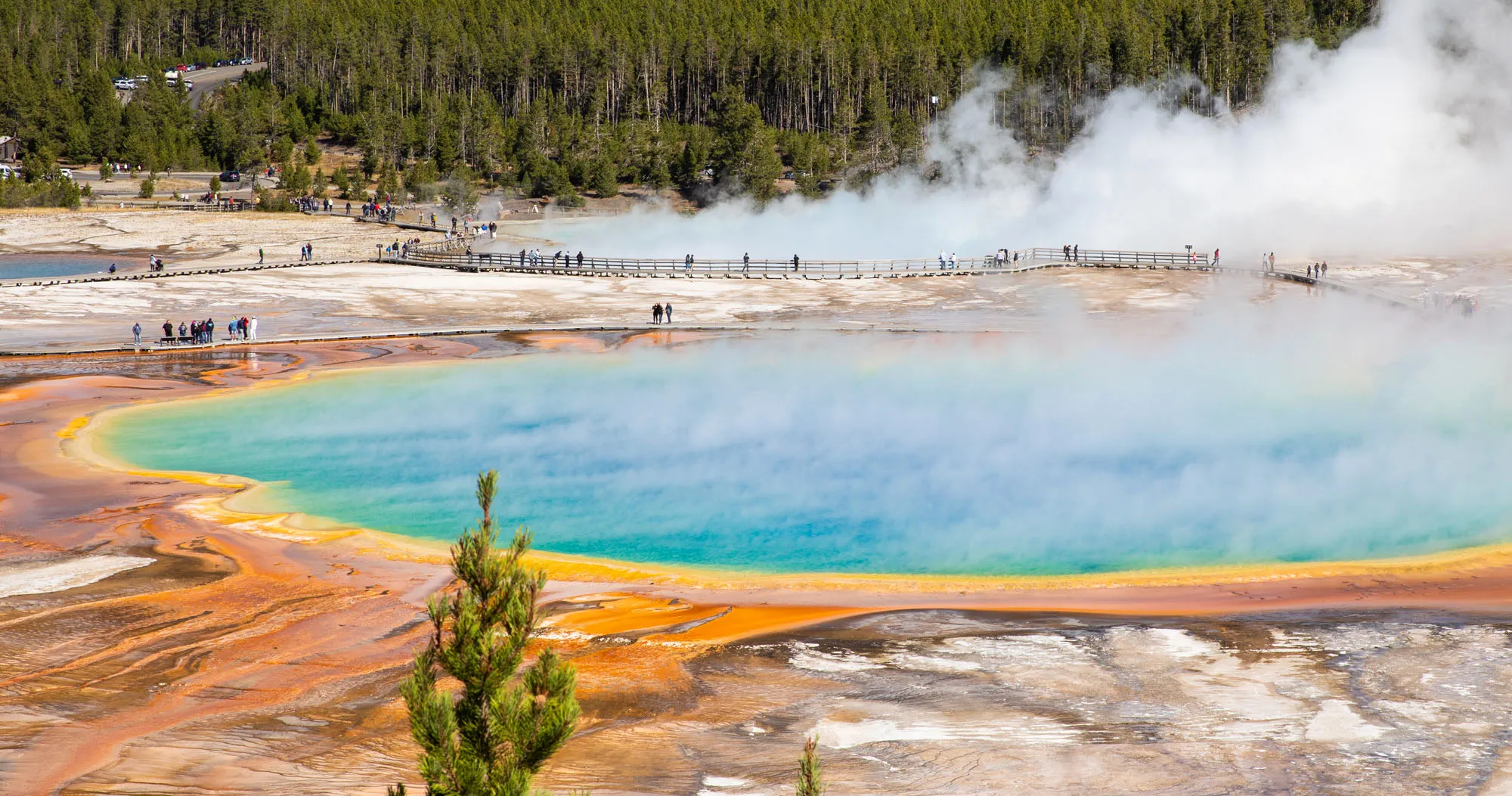 Featured image for “The Perfect Yellowstone Day Trip from Grand Teton National Park”