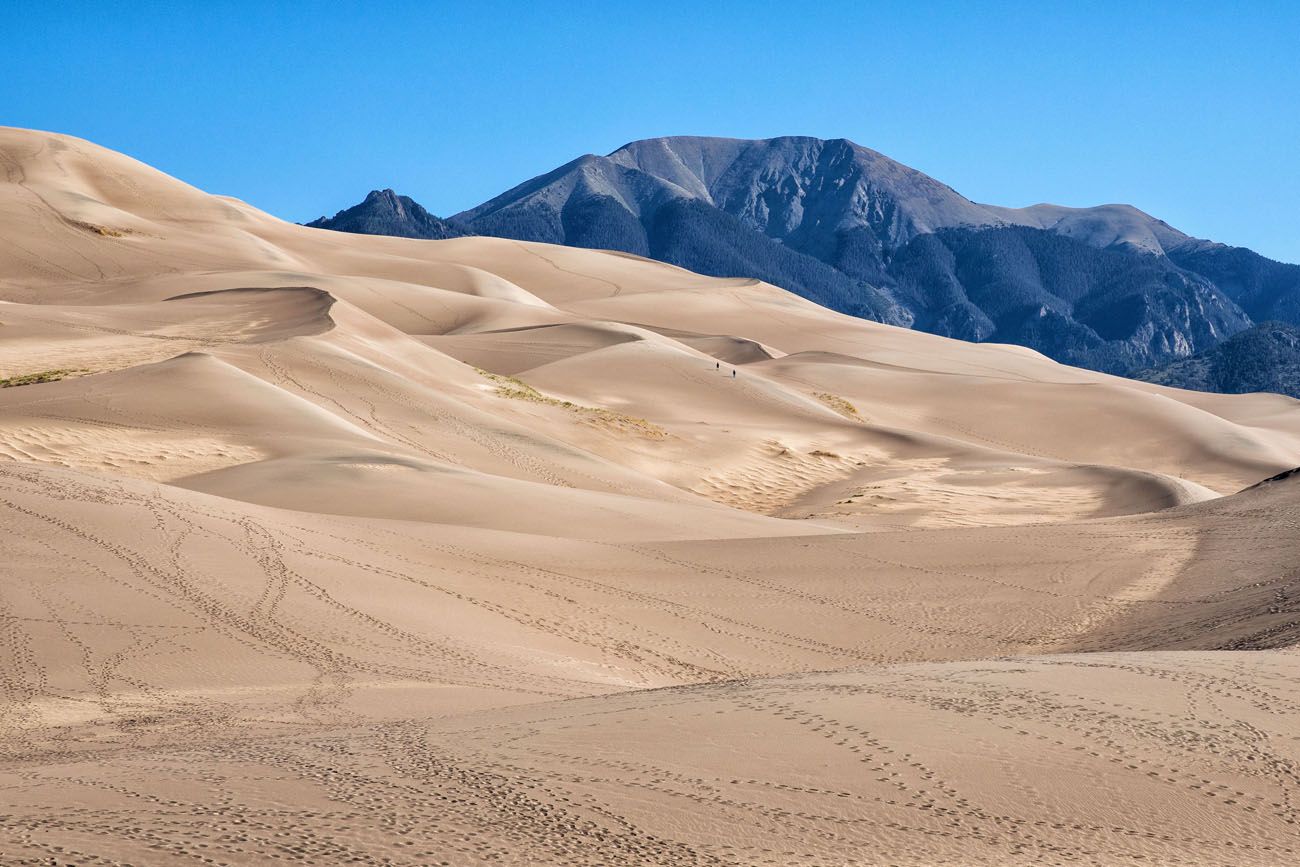 Great Sand Dunes national parks with kids