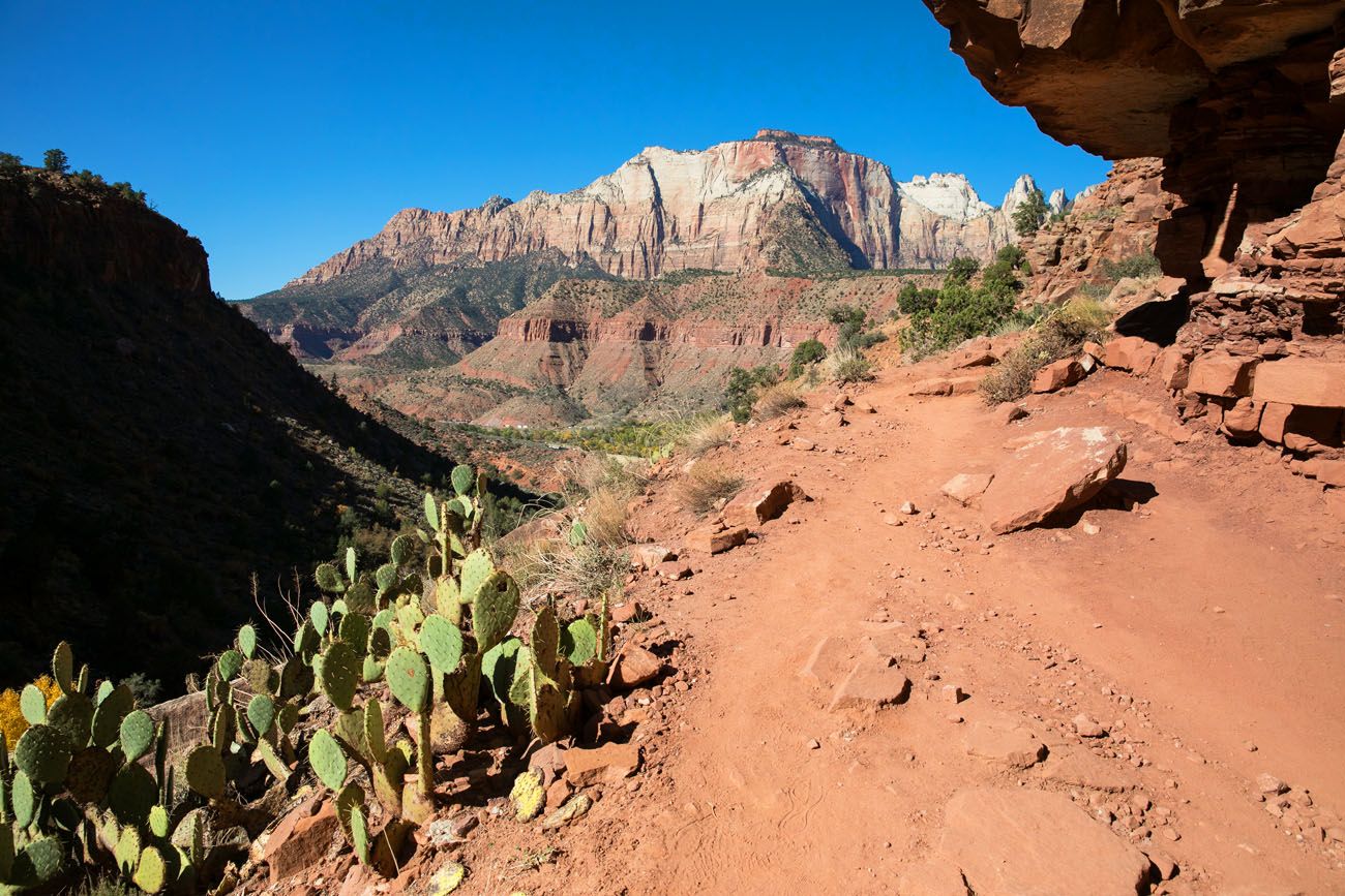 Hike the Watchman Trail | Best Zion Hikes