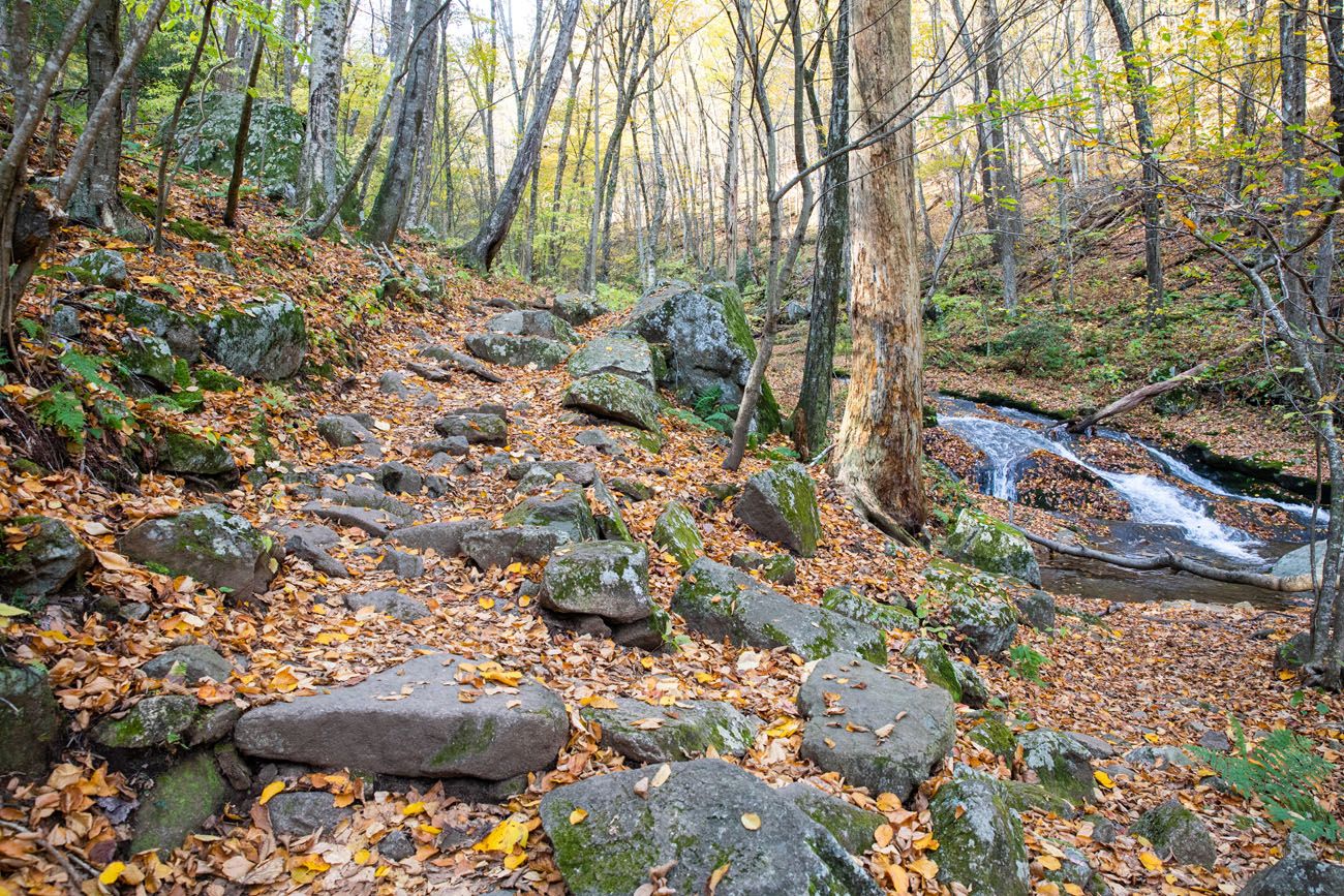 Hiking Trail SNP