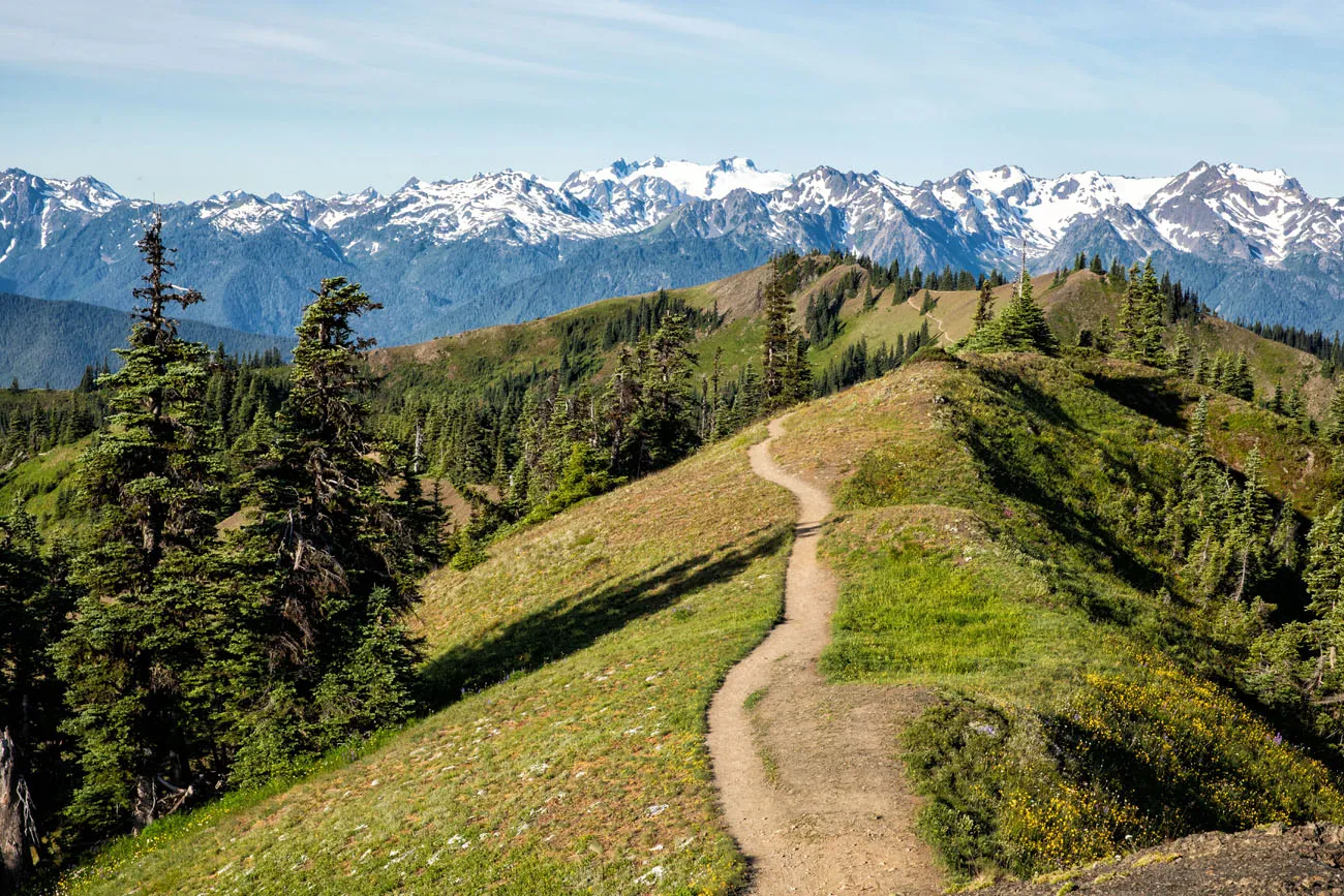 Hurricane Ridge Trail hikes in the national parks