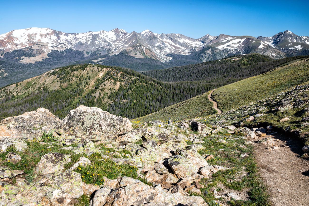 Looking Back at the Trail