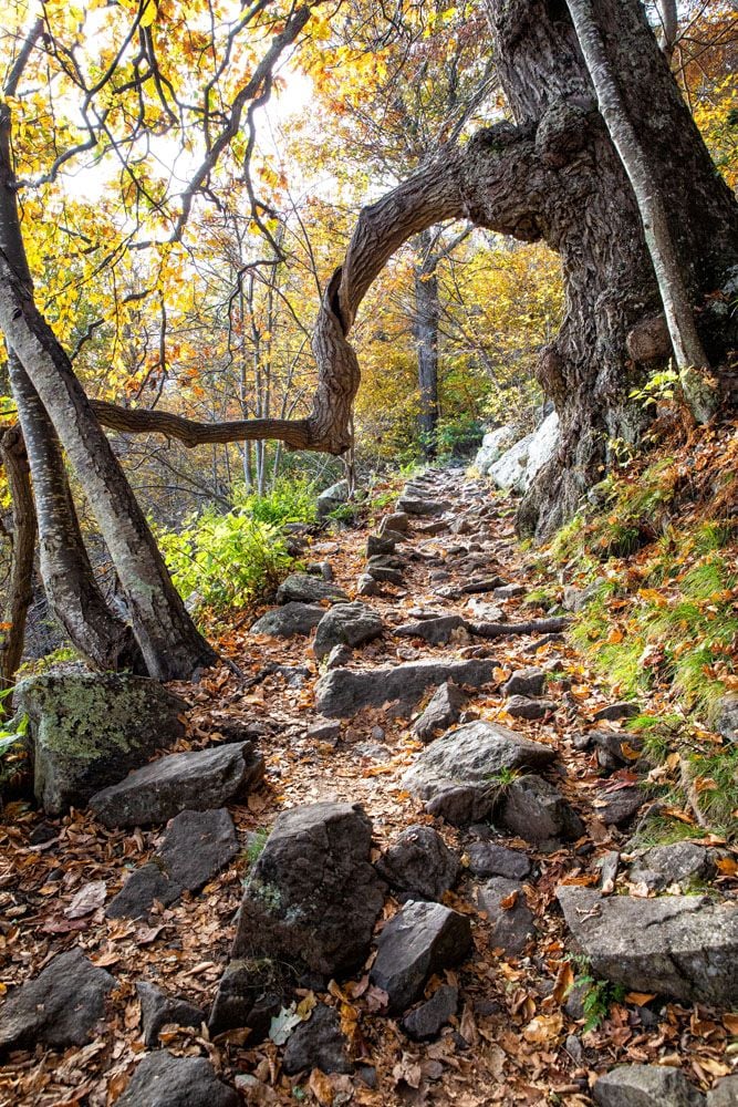 Marys Rock Trail