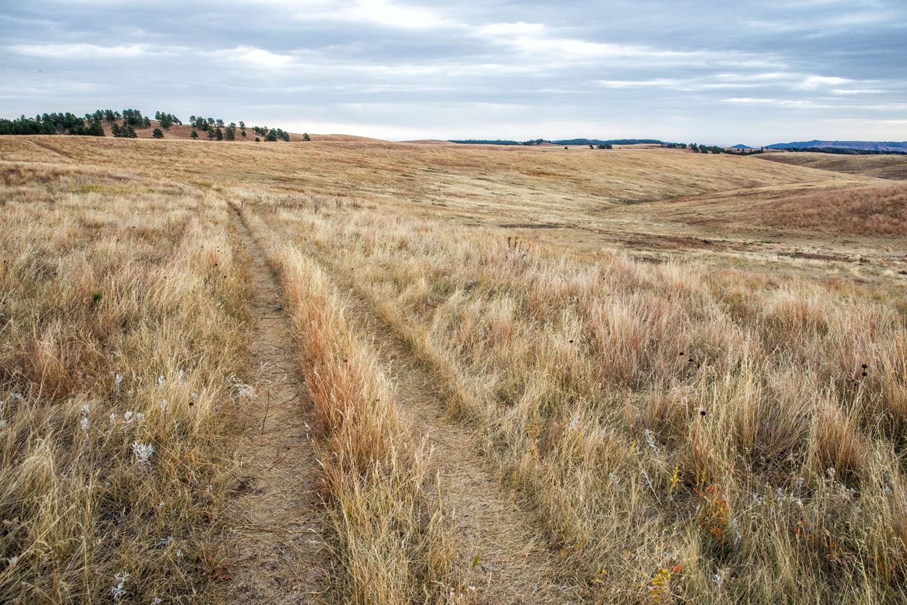 Mixed Grass Prairie 