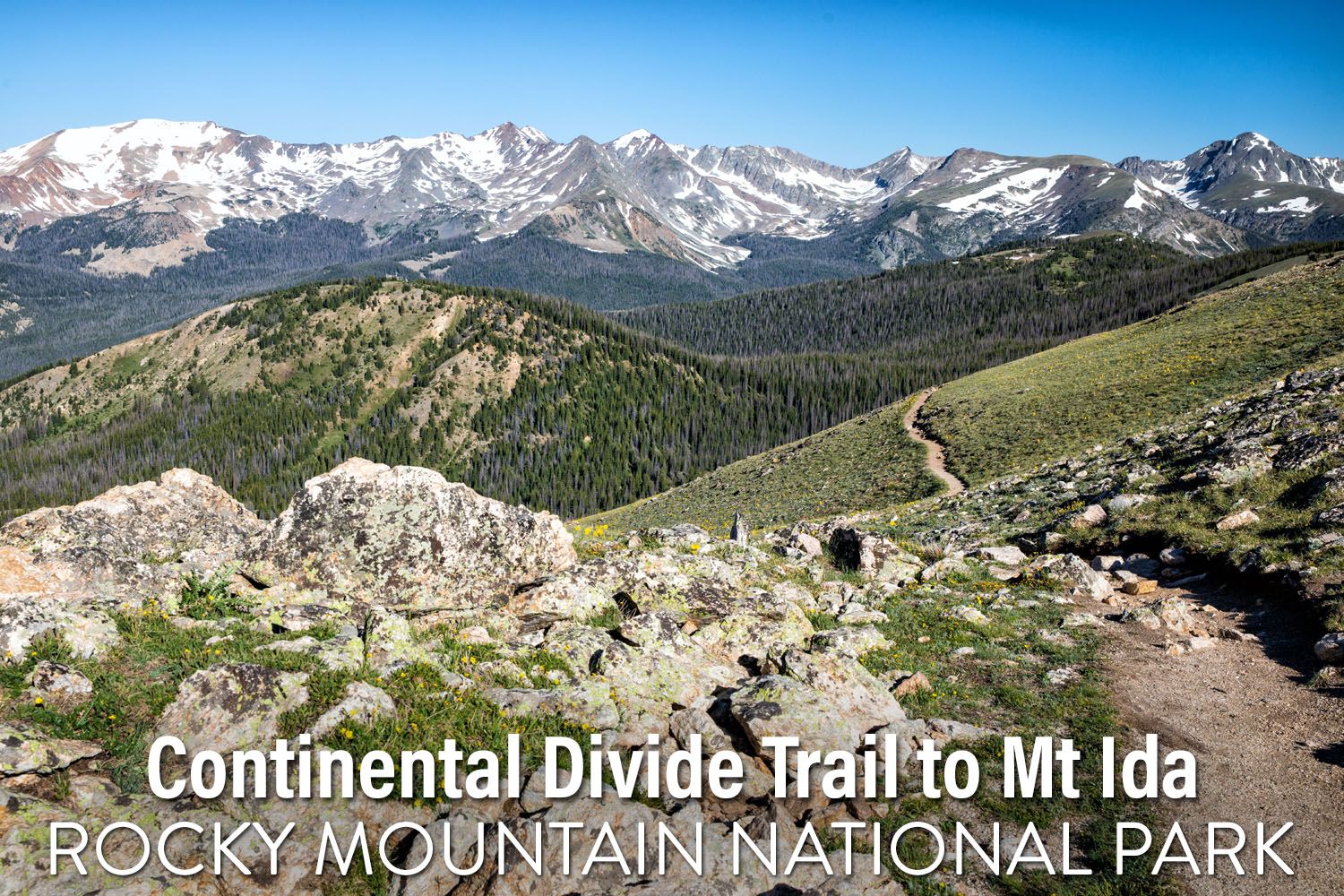 Mt Ida Hike RMNP