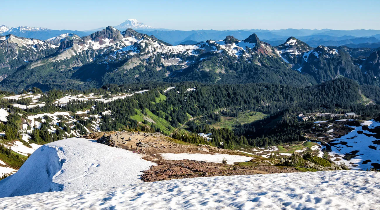 Mt Rainier View