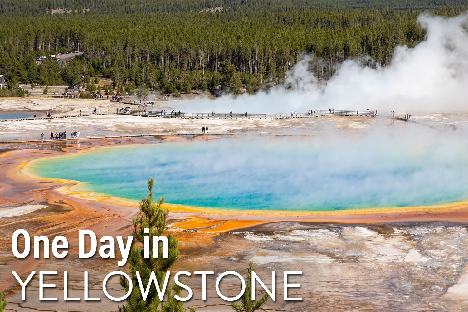 One Day in Yellowstone