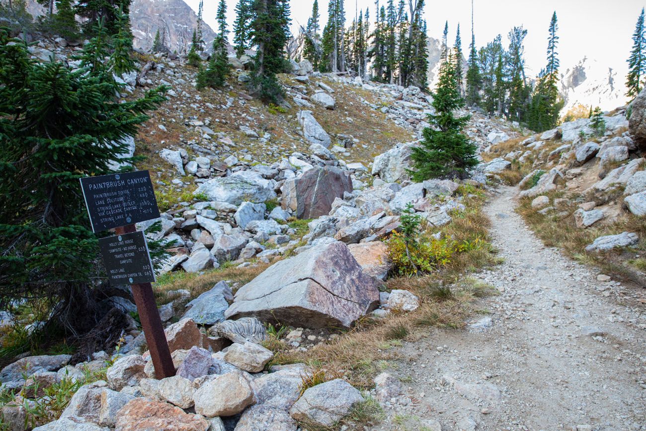 Paintbrush Canyon Trail Split