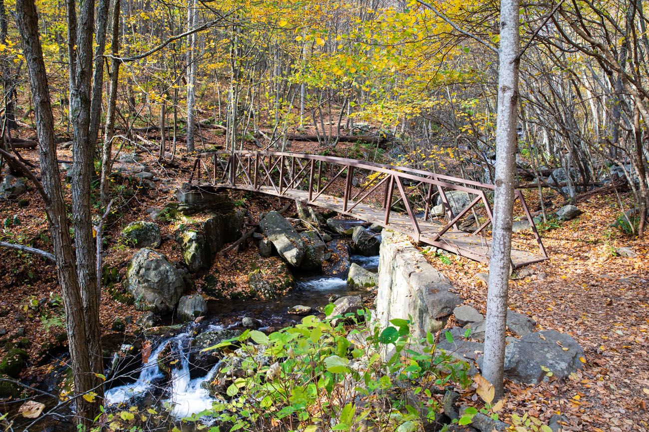 Rose River Falls Bridge things to do in Shenandoah