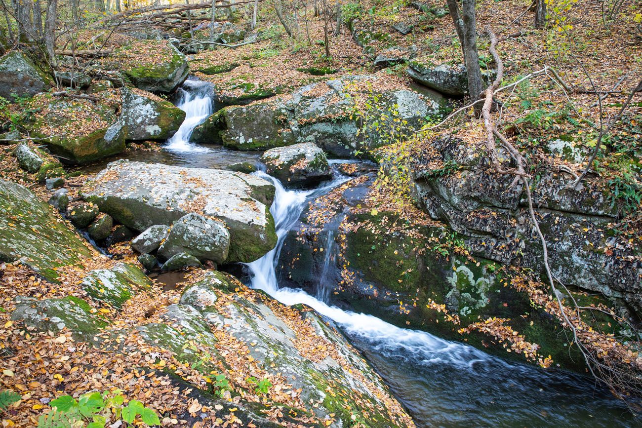 Rose River Falls Loop things to do in Shenandoah