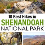 Shenandoah Hikes