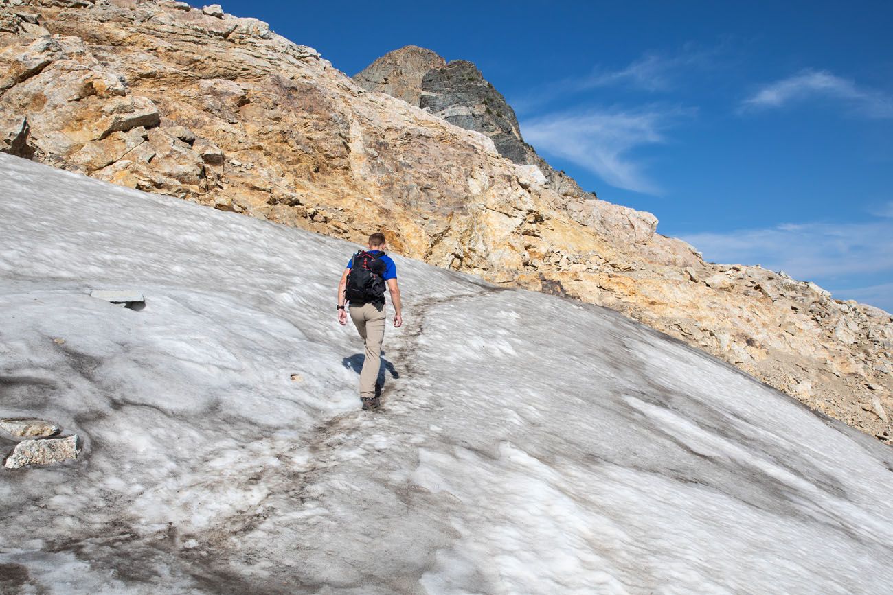 Snow Paintbrush Trail