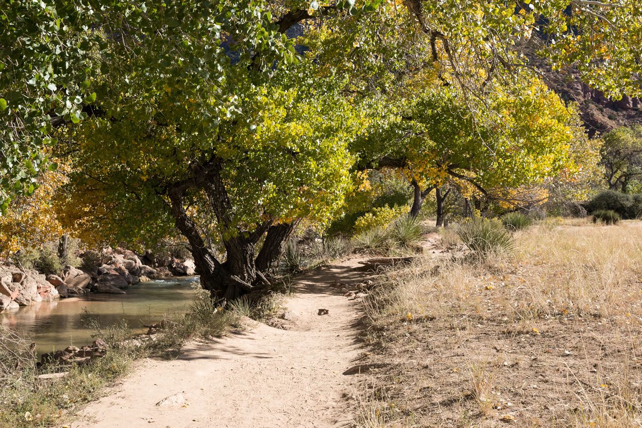 Start of Watchman Trail