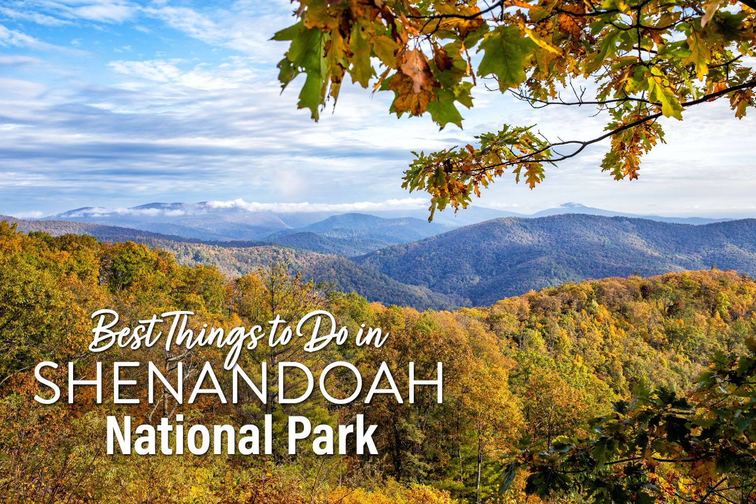 Things to do in Shenandoah