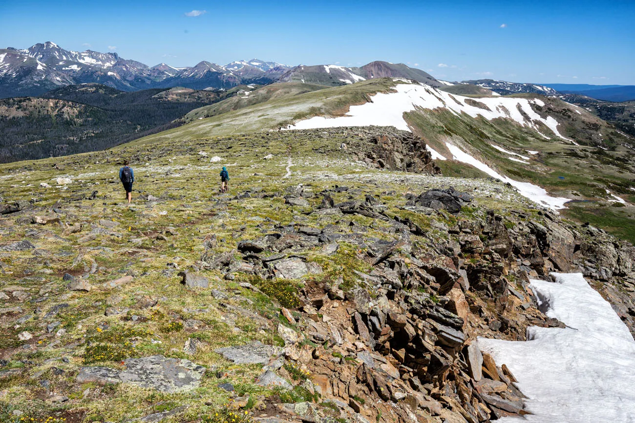 Top of the Trail