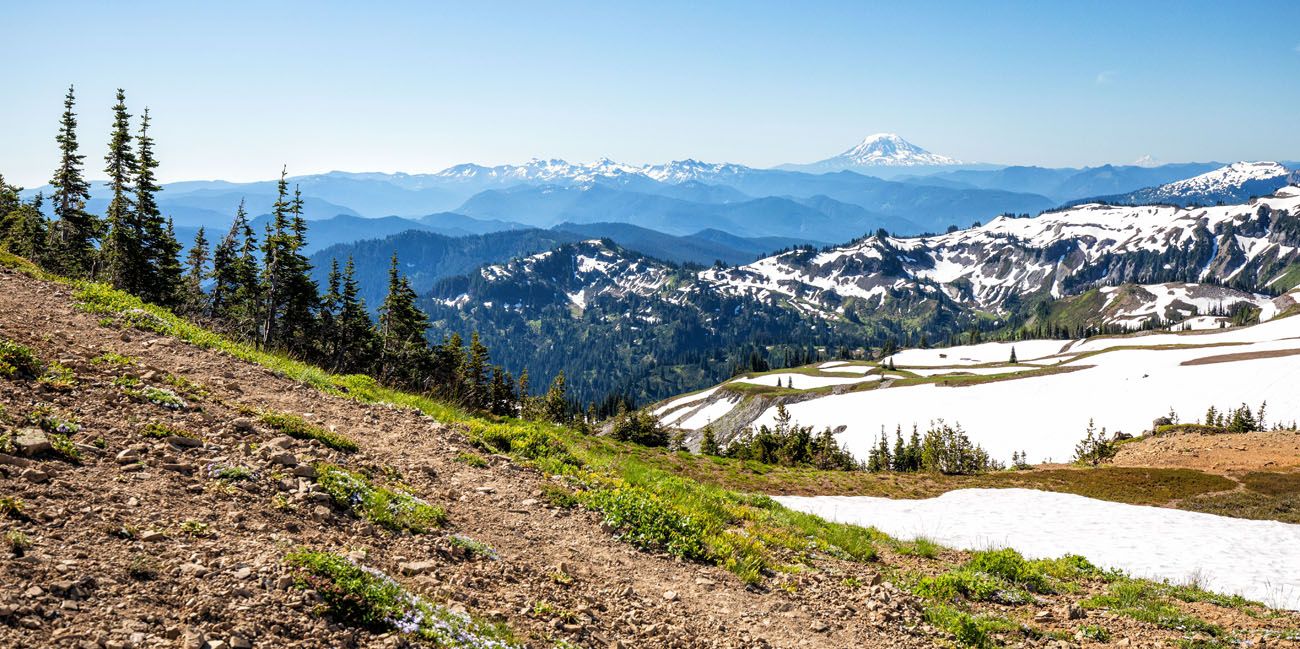 View of Mount Adams