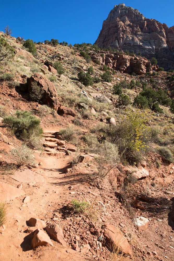 Watchman Trail Hike