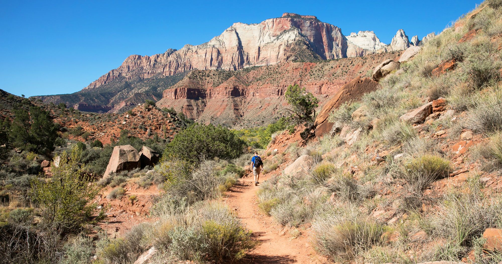 Watchman Trail Zion