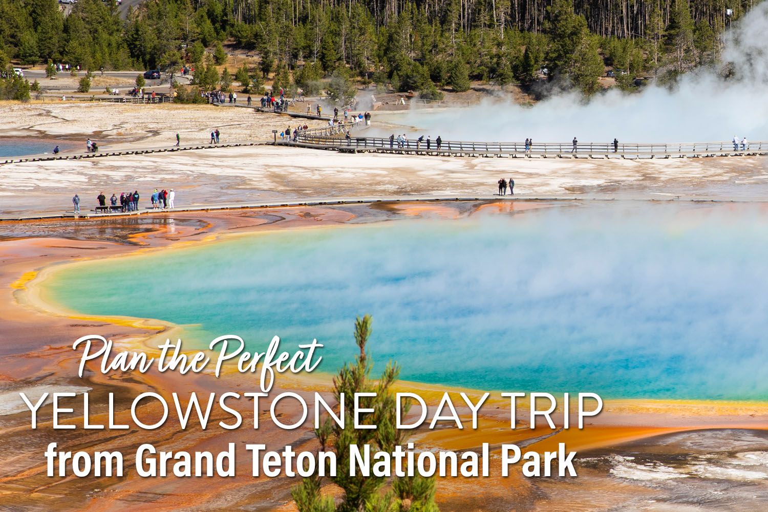 Yellowstone Day Trip