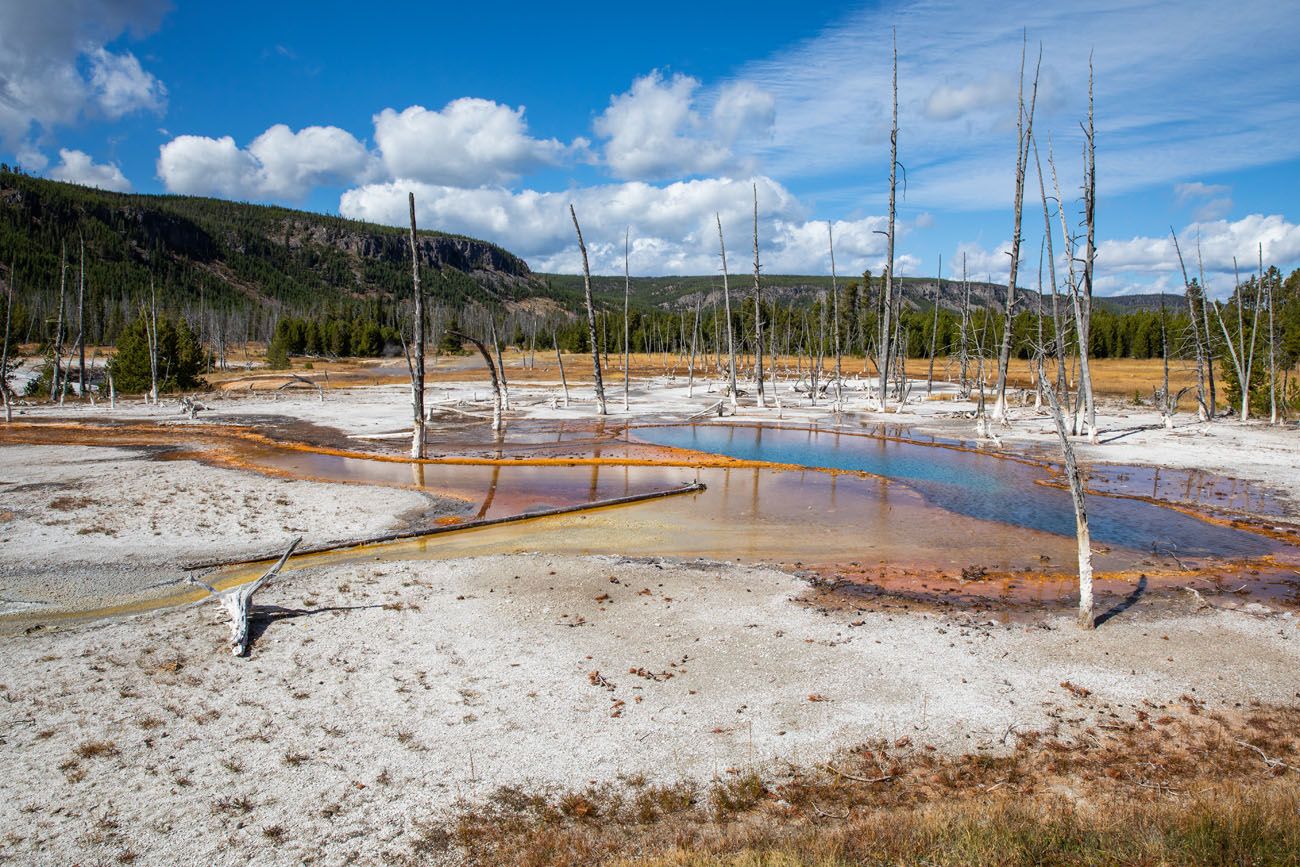 Best Geyser Basins in Yellowstone National Park – Earth Trekkers