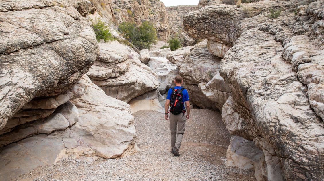 Best Hikes Big Bend