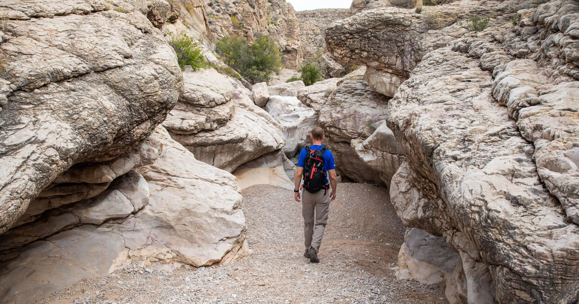 Best Hikes Big Bend