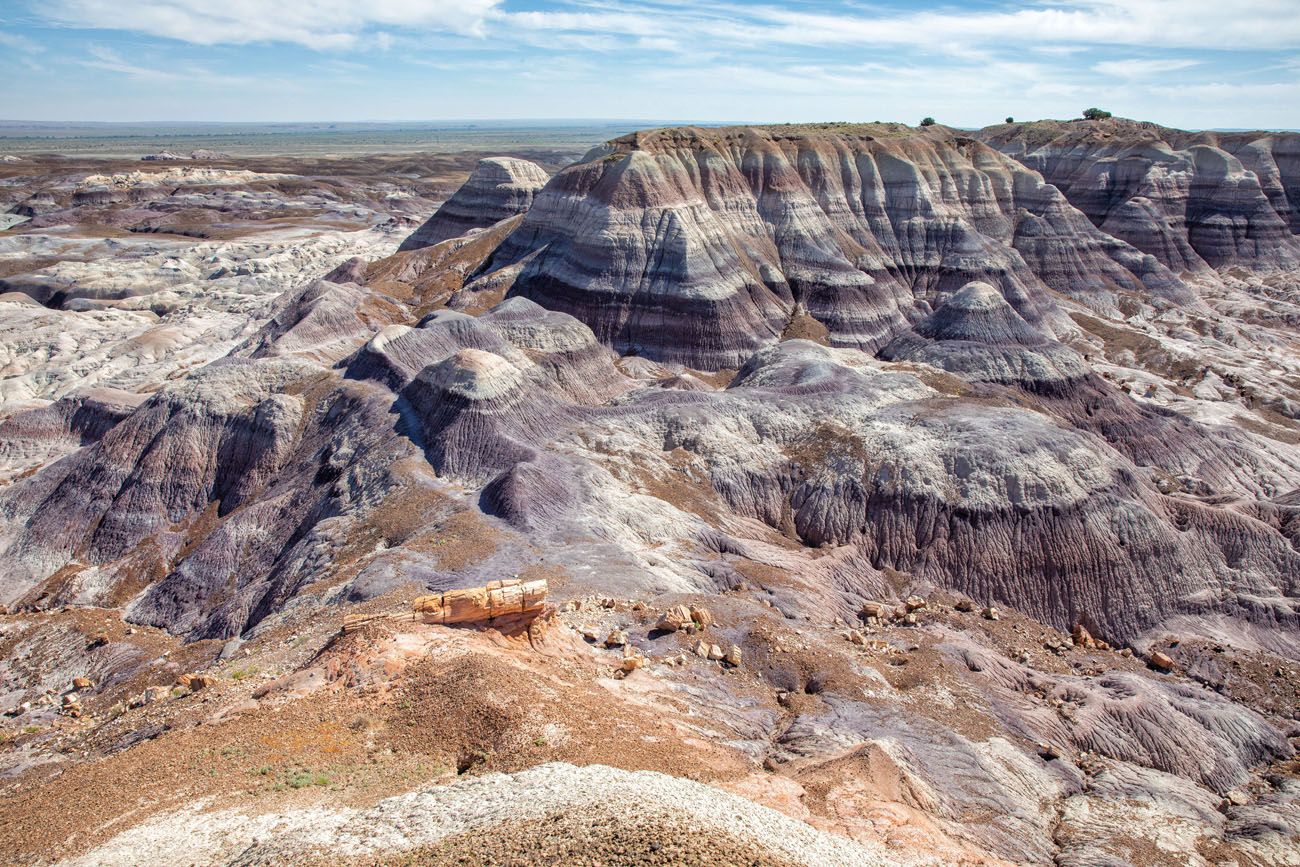 Best Petrified Forest Hike | Best National Parks in April