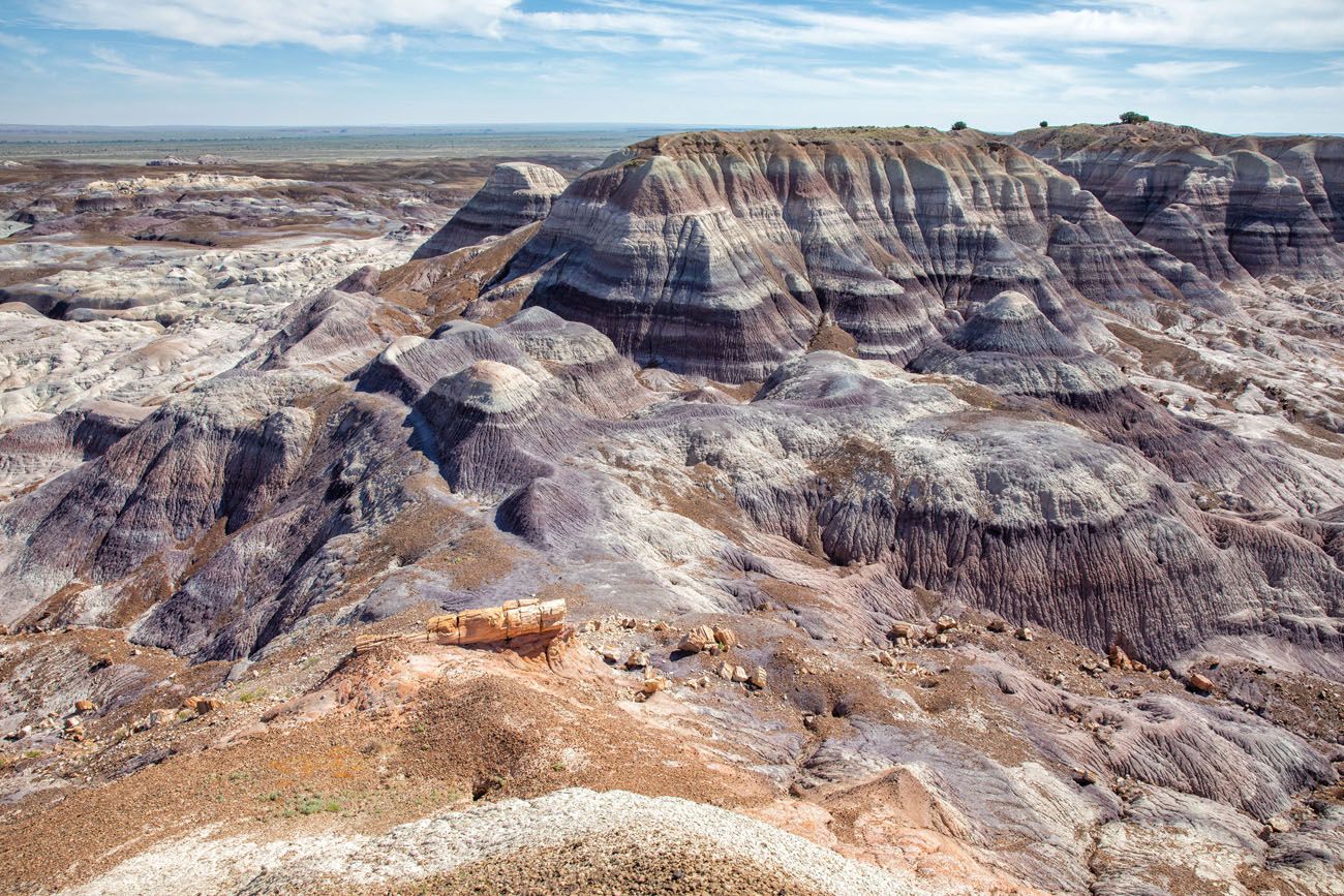 Best Petrified Forest Hike