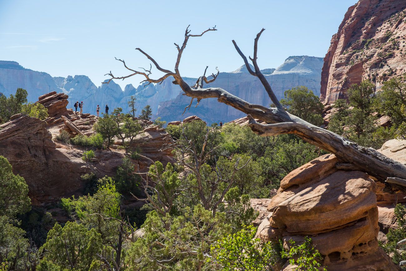 Canyon Overlook Trail