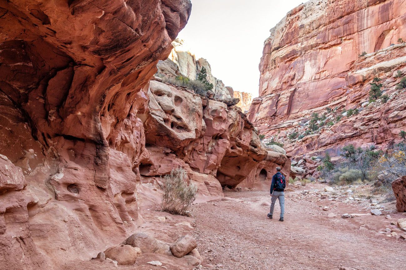 First Part of Cassidy Arch Hike