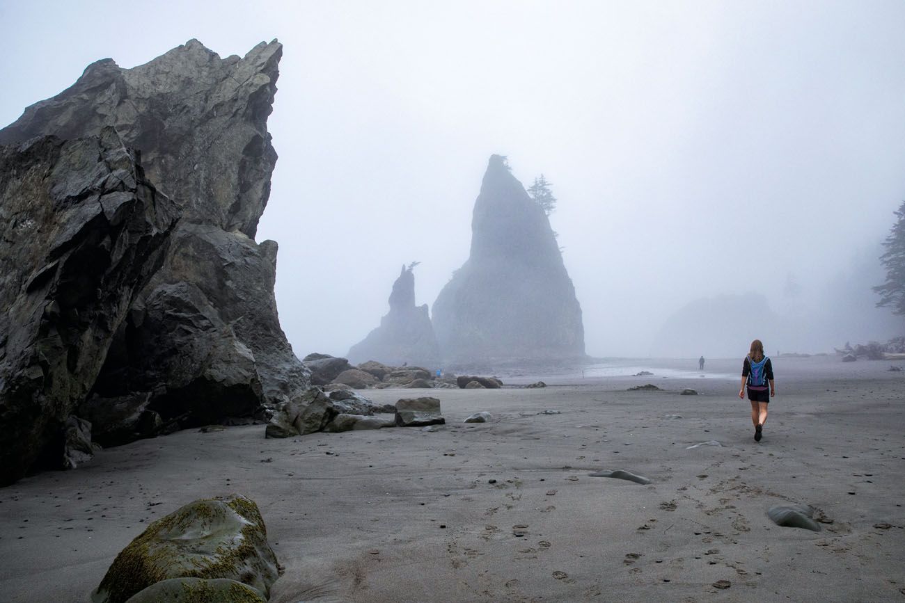 Foggy Rialto Beach