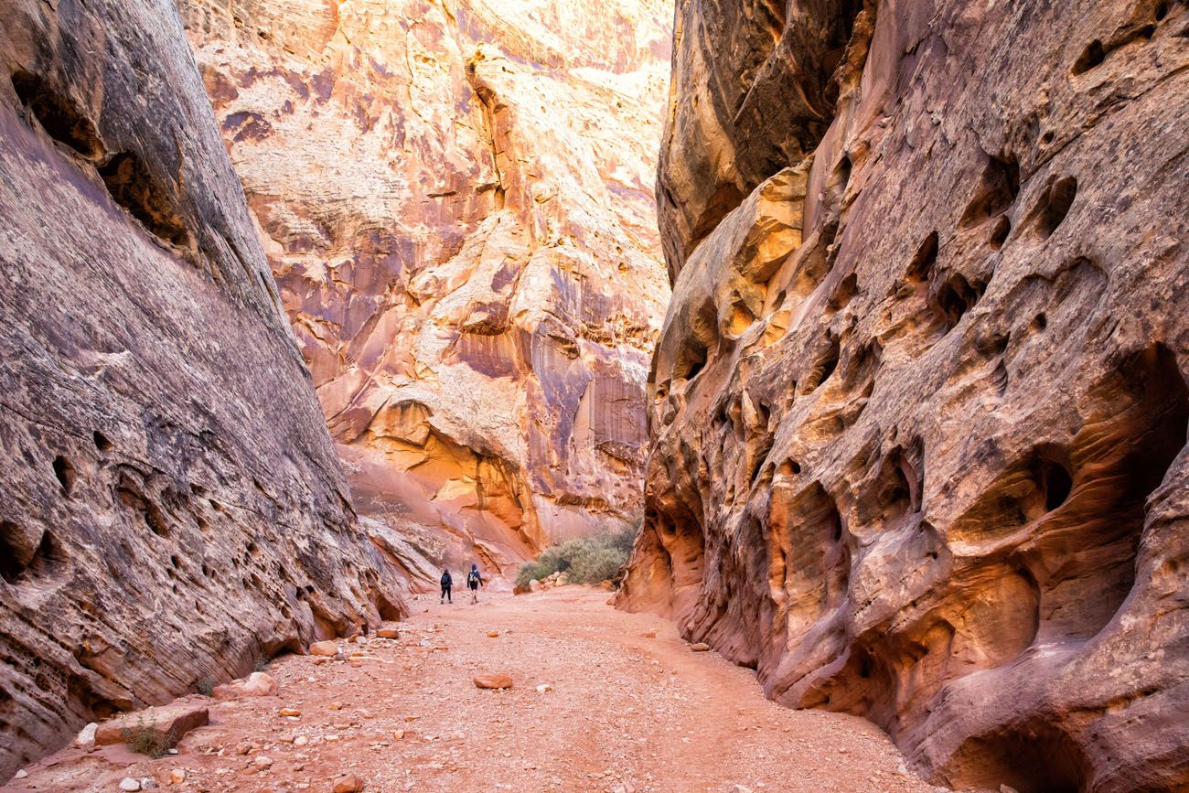 Grand Wash Capitol Reef