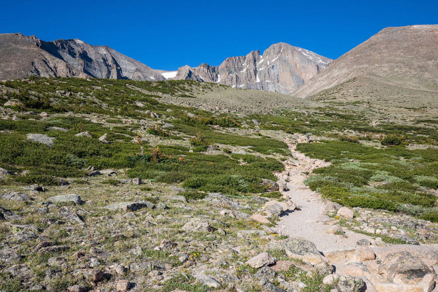 Hiking Trail to Longs Peak