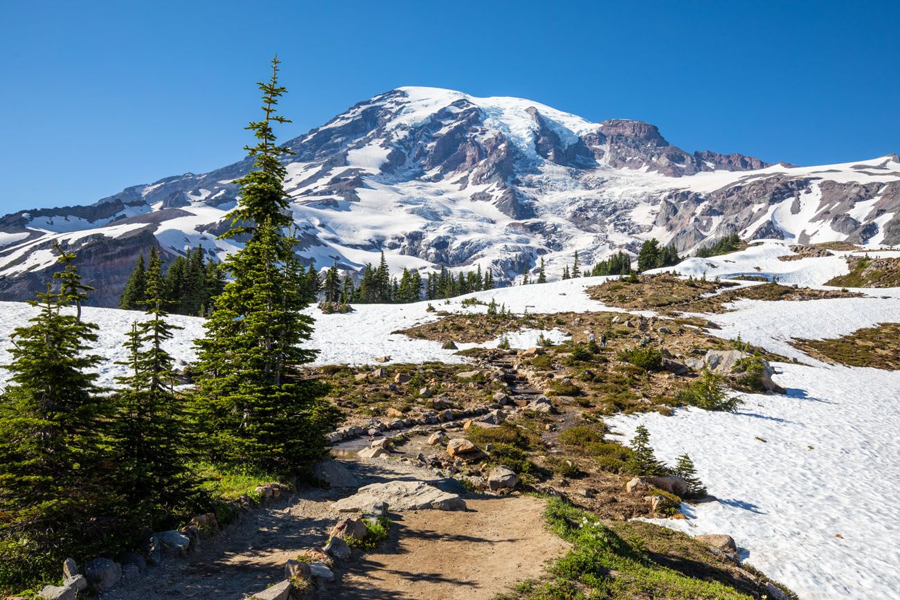 Mount Rainier Hike