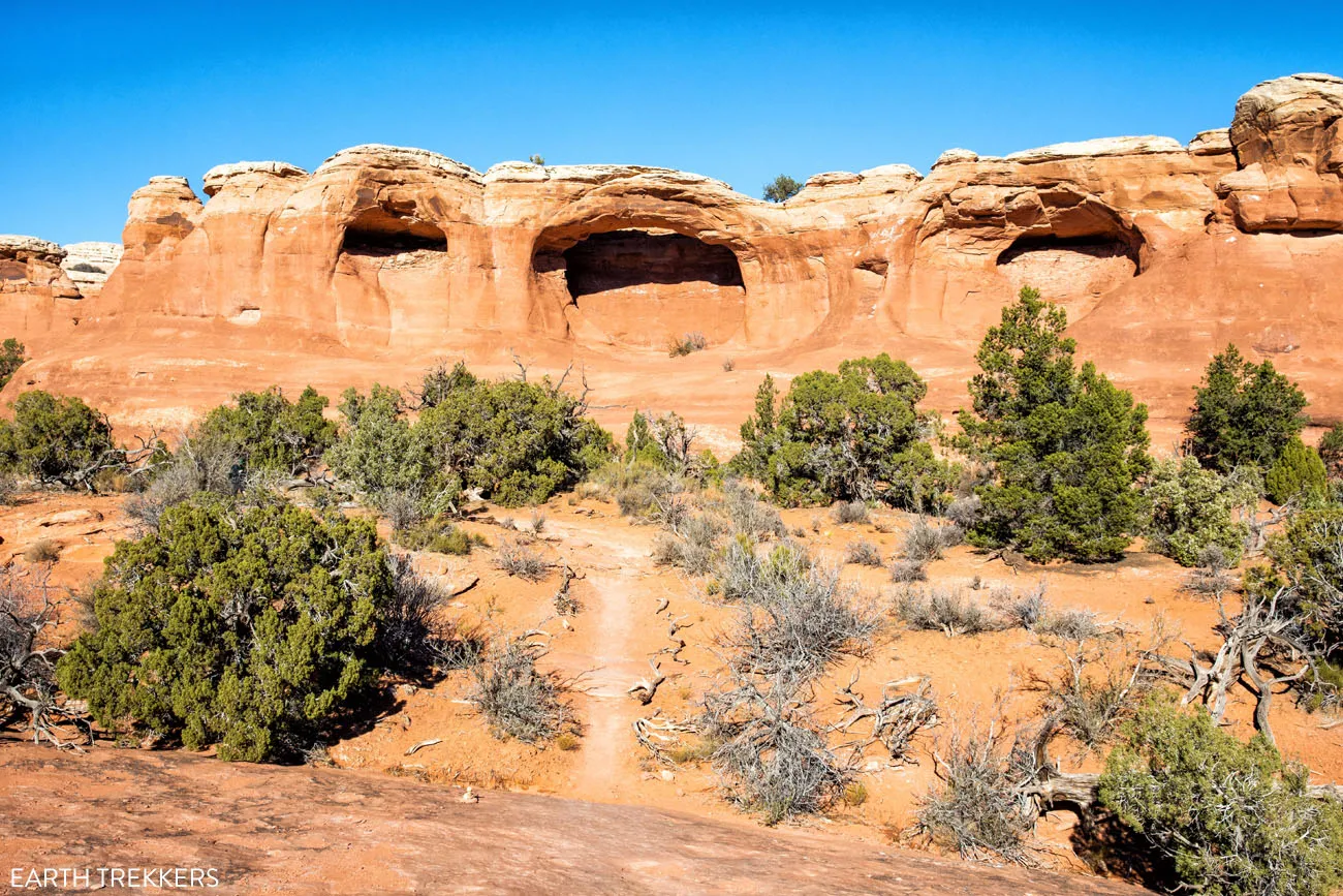 Tapestry Arch