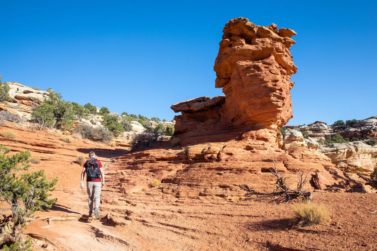 Tim and Rock Formation