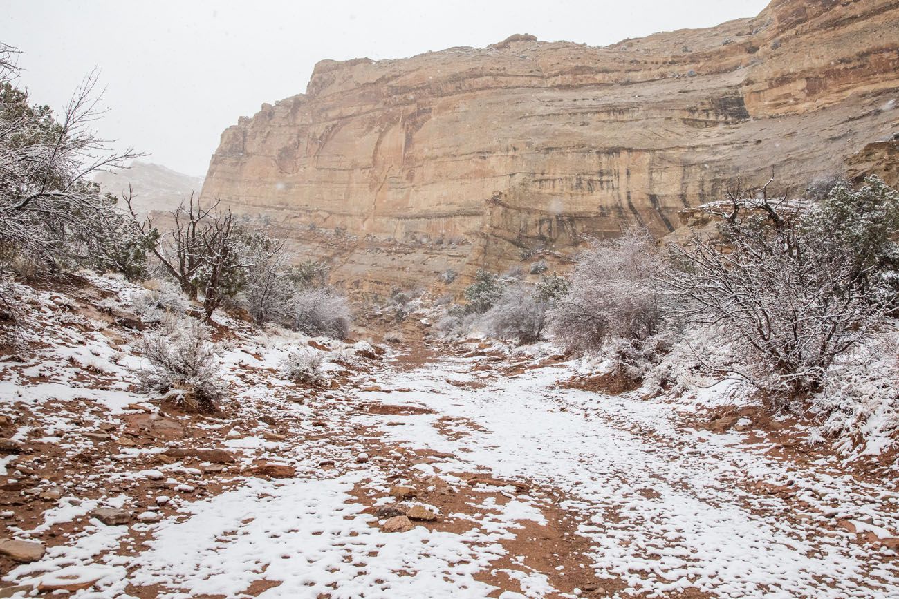 Back of the Canyon