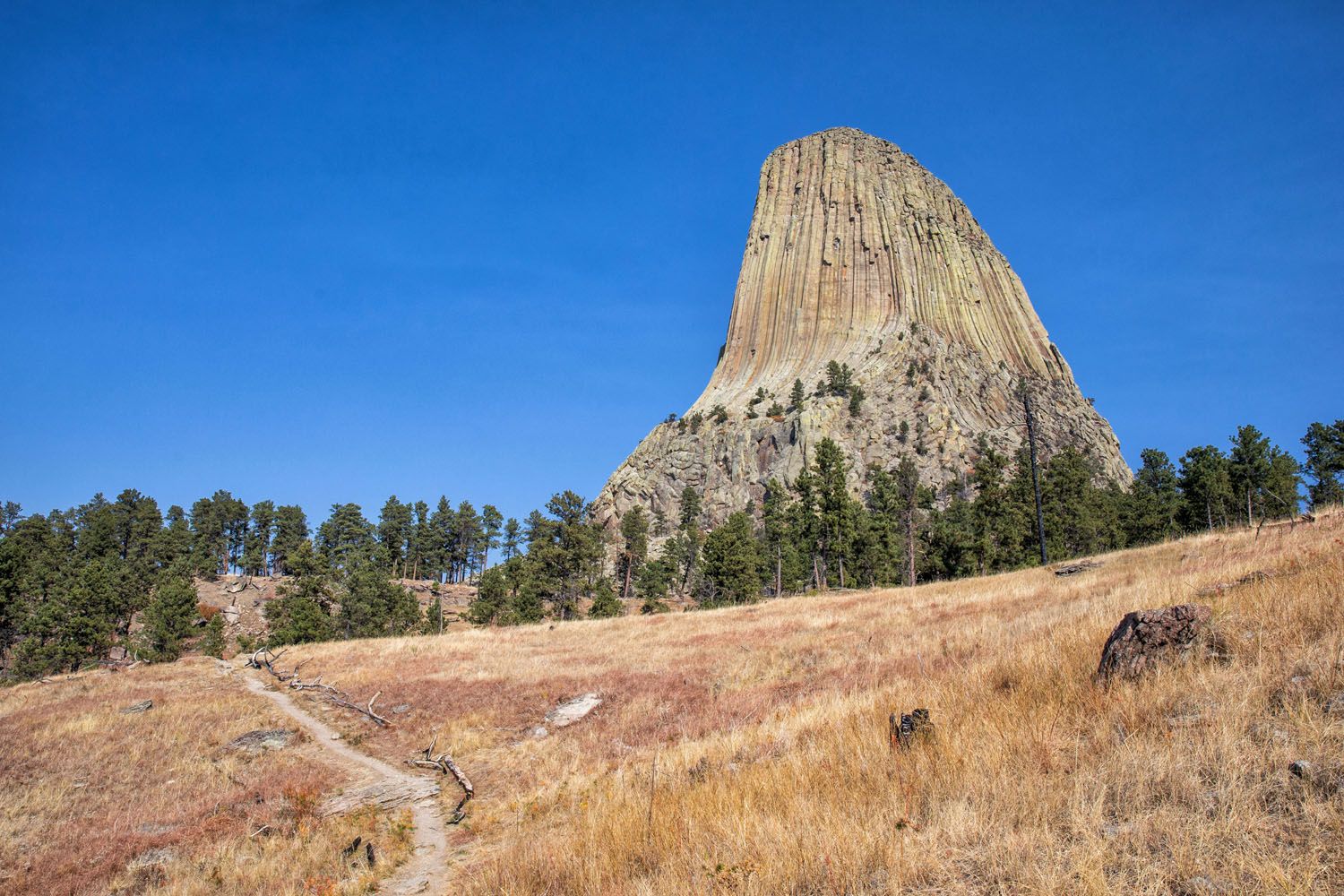 Best Devils Tower Hike