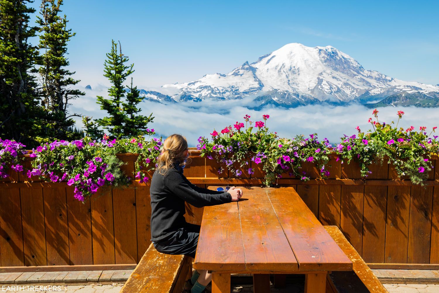 Best View of Mount Rainier