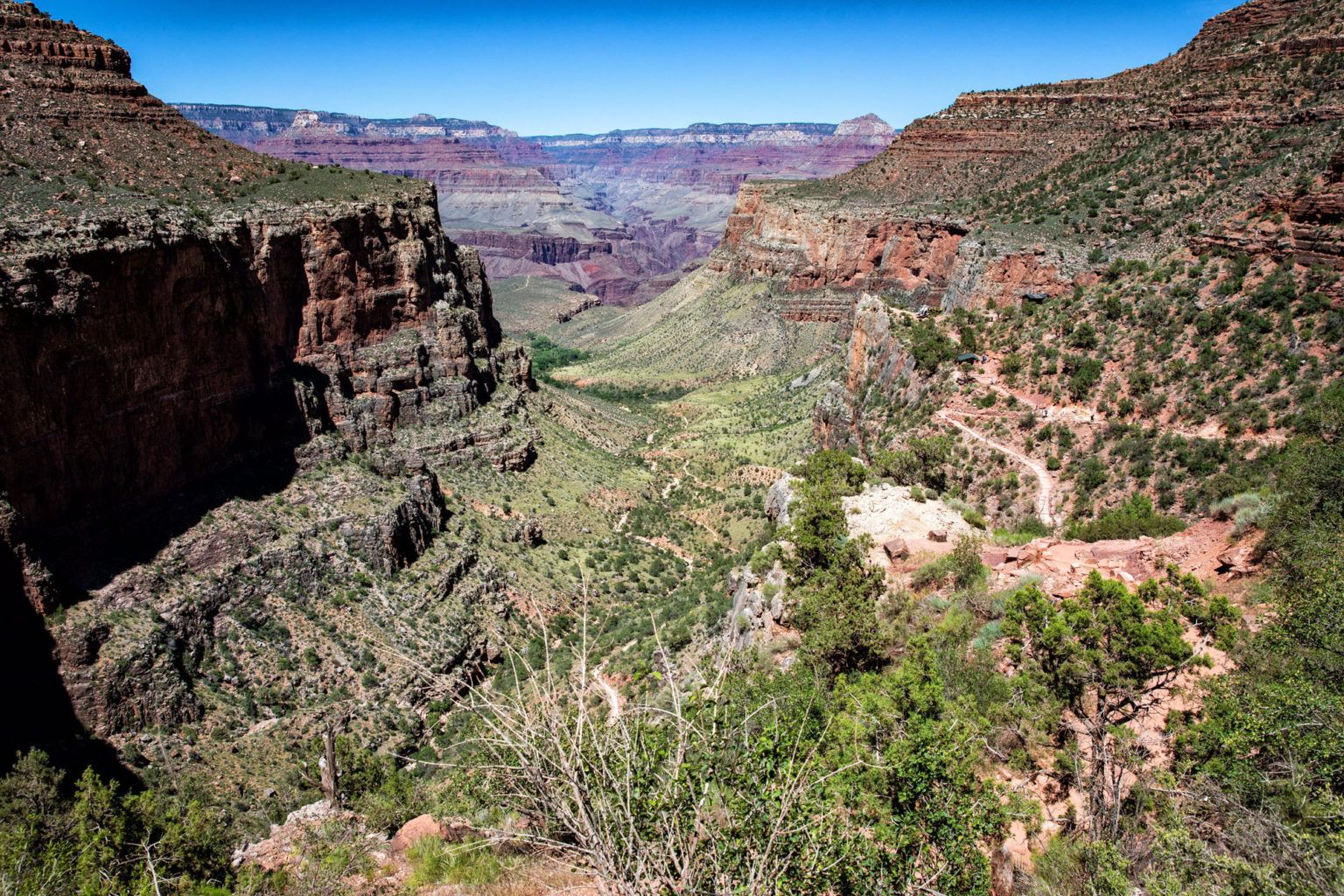 Bright Angel Trail in June