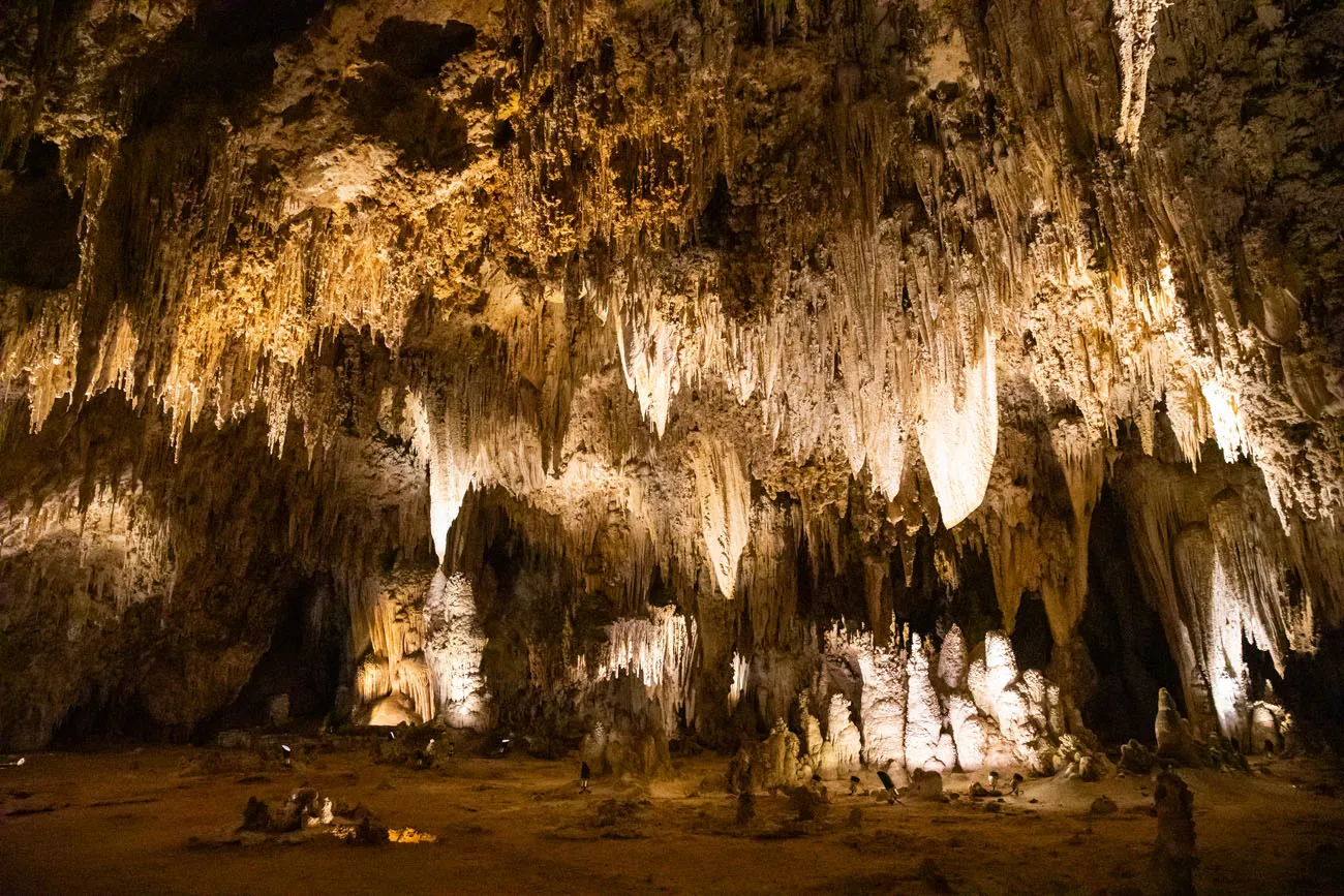 Carlsbad Caverns National Park