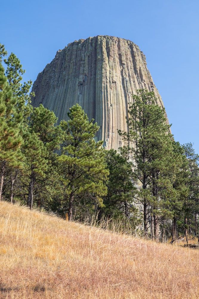 Devils Tower Guide