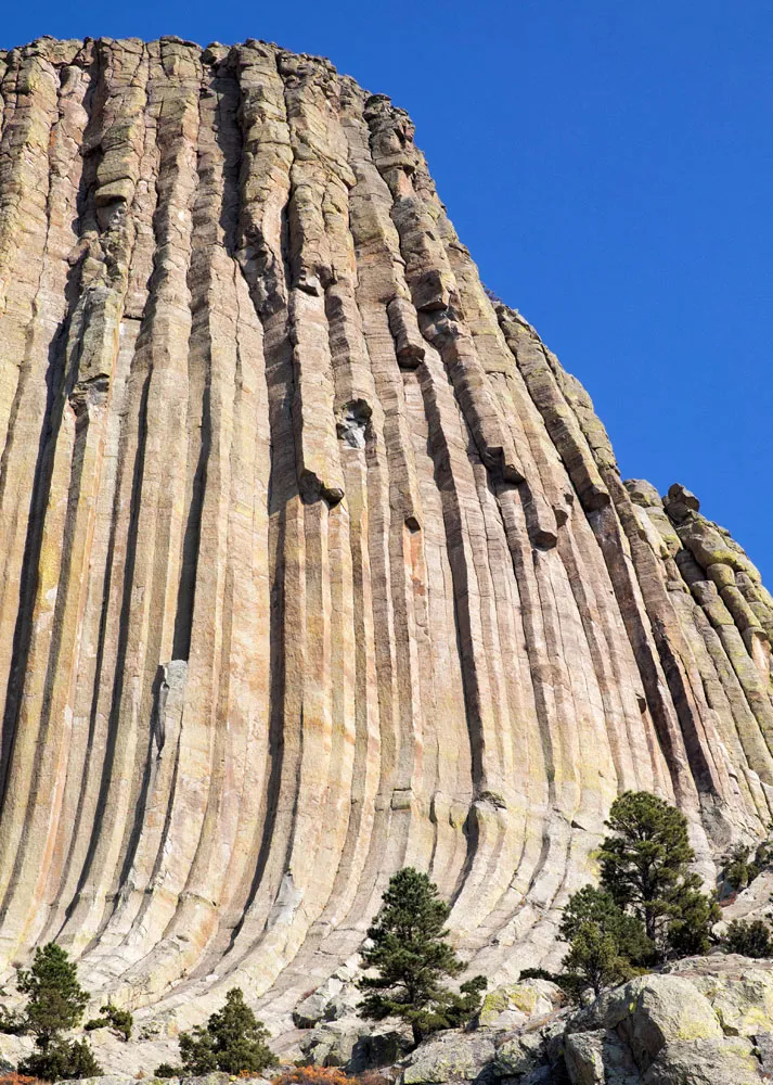 Devils Tower Hexagonal Columns