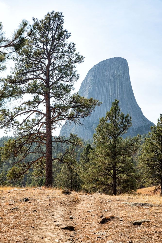 Devils Tower Silhouette